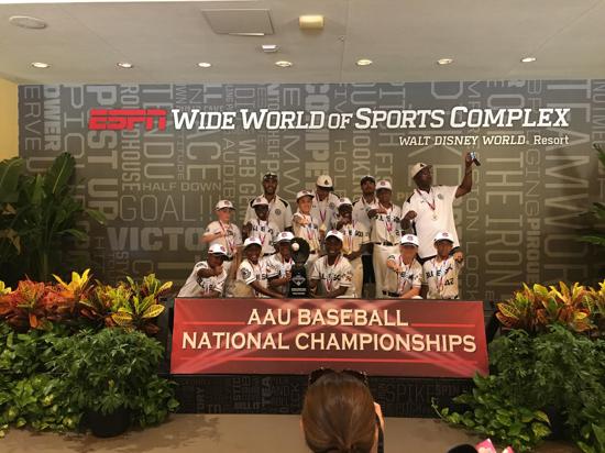 9-10U Grand Nationals 2016_1.jpg
